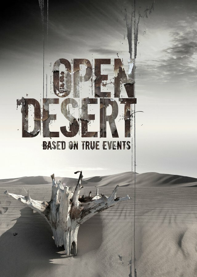 Бескрайняя пустыня (2013)